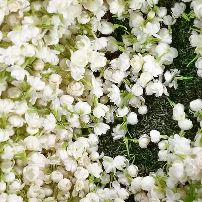 BlossAura – Fragrant Jasmine Potted Charm