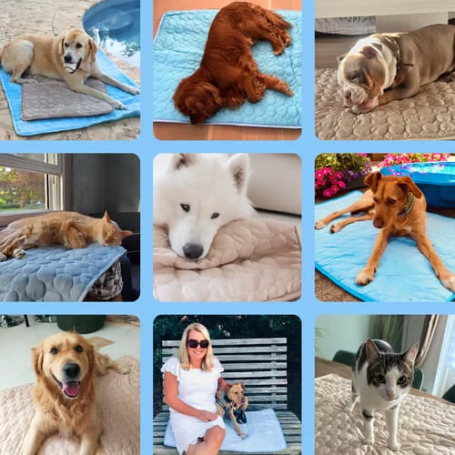 CooliPet – Smart 4X Effective Pet Cooling Mat