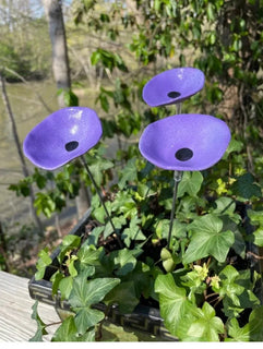 FeatherFalls – Butterfly Puddler & Nectar Cups