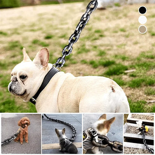 FlexChain – Life-Like Iron Chain Dog Leash for Strong Control