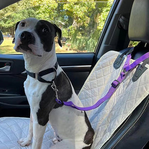 TravelPaws – Adjustable Dog Travel Safety Leash System