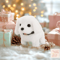 Chow Chow(White)