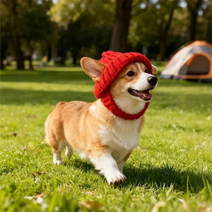 PawLuxe – Knit Dog Winter Beanie