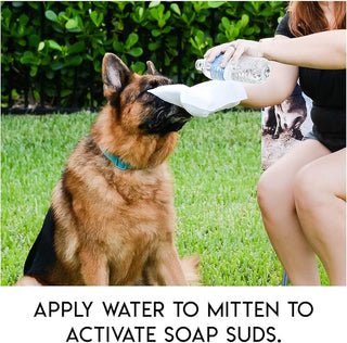 PawFresh – Rinse Free Dog Bath Mitts