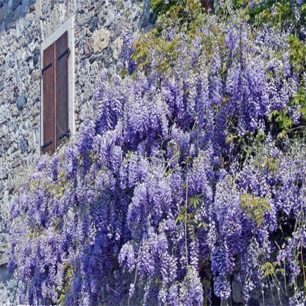 EndlessBloom – Cascading Garden Elegance