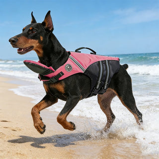 🐾Dog Life Jacket - High Buoyancy Foam, Adjustable Fit