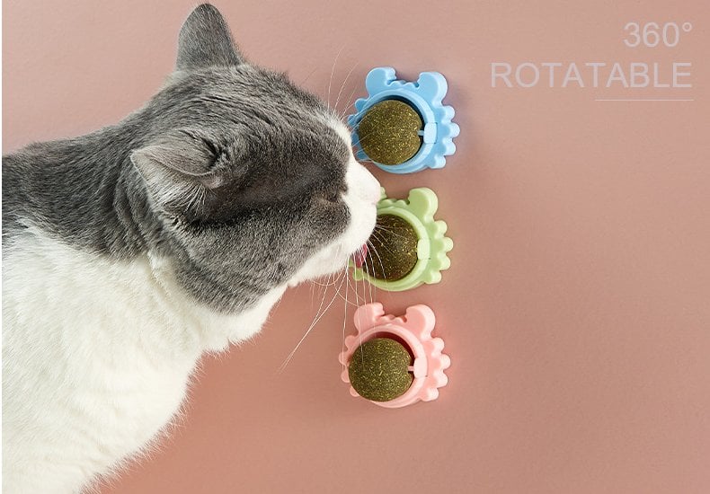 FelineFizz - Natural Rotating Catnip Ball