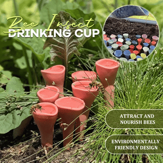 BeeBowl - The Ultimate Bee Drinking Cup