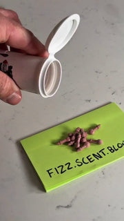 💥💥💥Belly Bombs: Bleeding Garlic