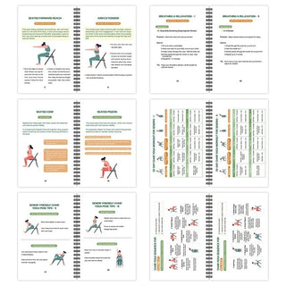 LifeStretch – Chair Yoga Transformation Plan