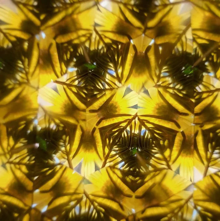 Woodland Wonder Kaleidoscope marnetic