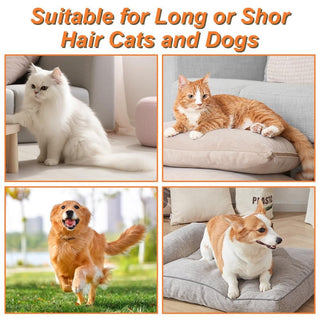 PawMist - Soothing Steam Groomer