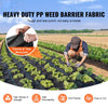 EcoGuard - Ultimate Weed Prevention Fabric