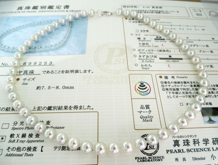SeaLuxe – Deep Sea Shell Pearl Necklace