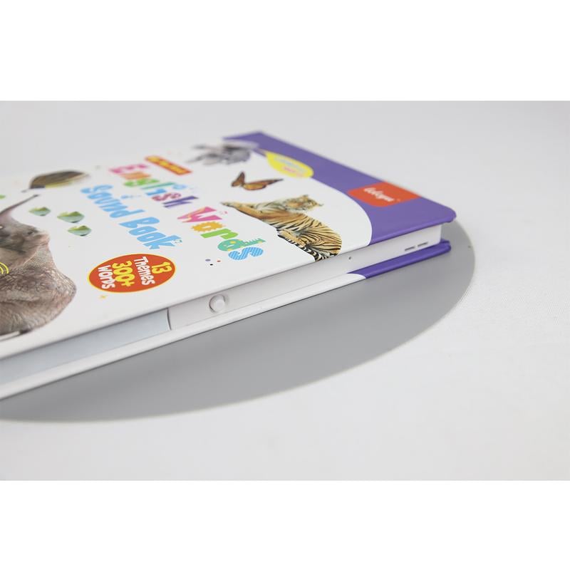 LittleLingo – English Learning Sound Toy