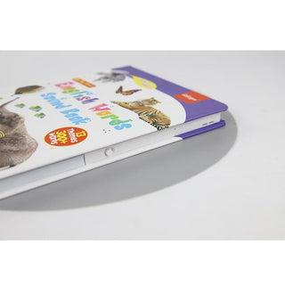 LittleLingo – English Learning Sound Toy