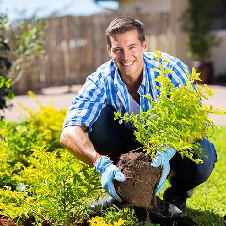 Yegbong - Soil Revive & Growth Activator