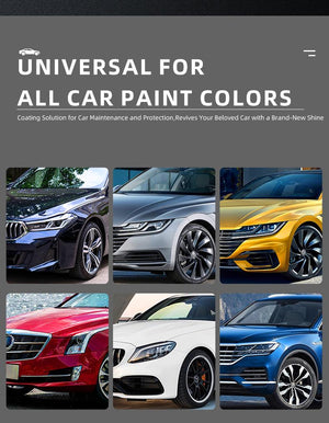 SpeedGloss Pro - Instant Shine & Sealant Spray