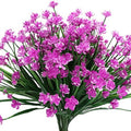 Purple  Narcissus