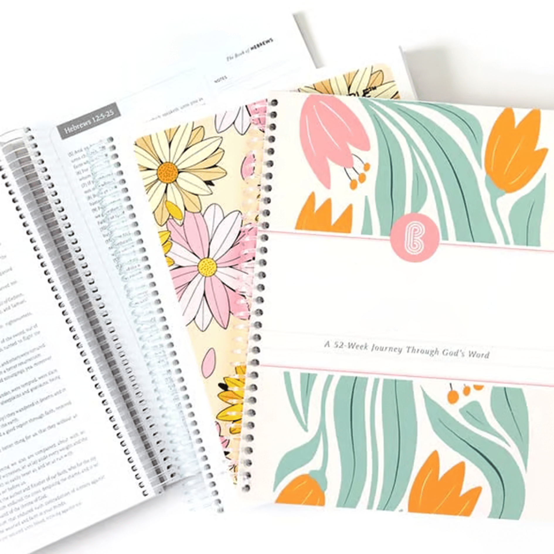 Eternal Path | 52-Week Thematic Bible Study