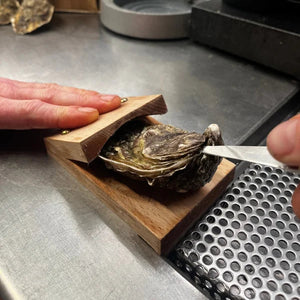 SureGrip Oyster Shucking Clamp marnetic