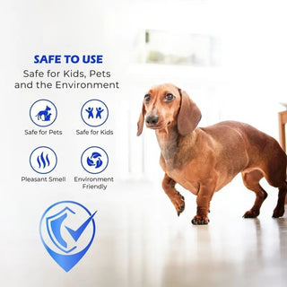 GlossyGuard – Multi-Surface Floor Restorer
