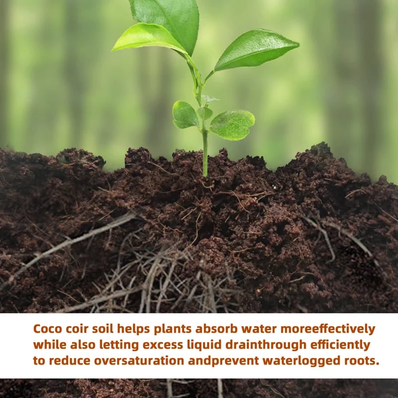 CocoBloom – Organic Coconut Coir Bricks for Healthy Plant Growth