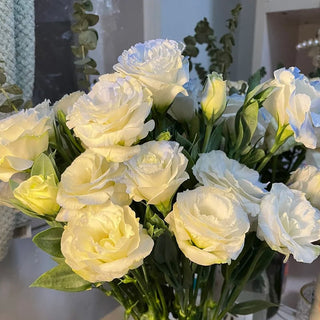 PetalSerenity – Premium Lisianthus Seeds