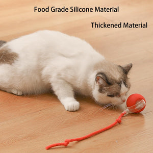 PetPlay - Smart Interactive Pet Toy Ball