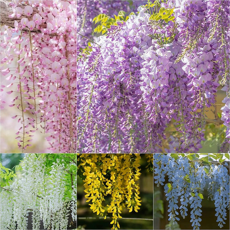 EndlessBloom – Cascading Garden Elegance