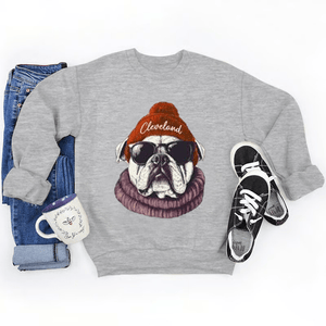Legion | Team Spirit Animal Pullover