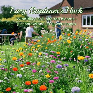 🌱Premium Hardy Mixed Perennial Flowers Seeds | Over 60 Varieties | Perfect for Beginners