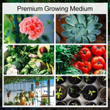 CocoBloom – Organic Coconut Coir Bricks for Healthy Plant Growth