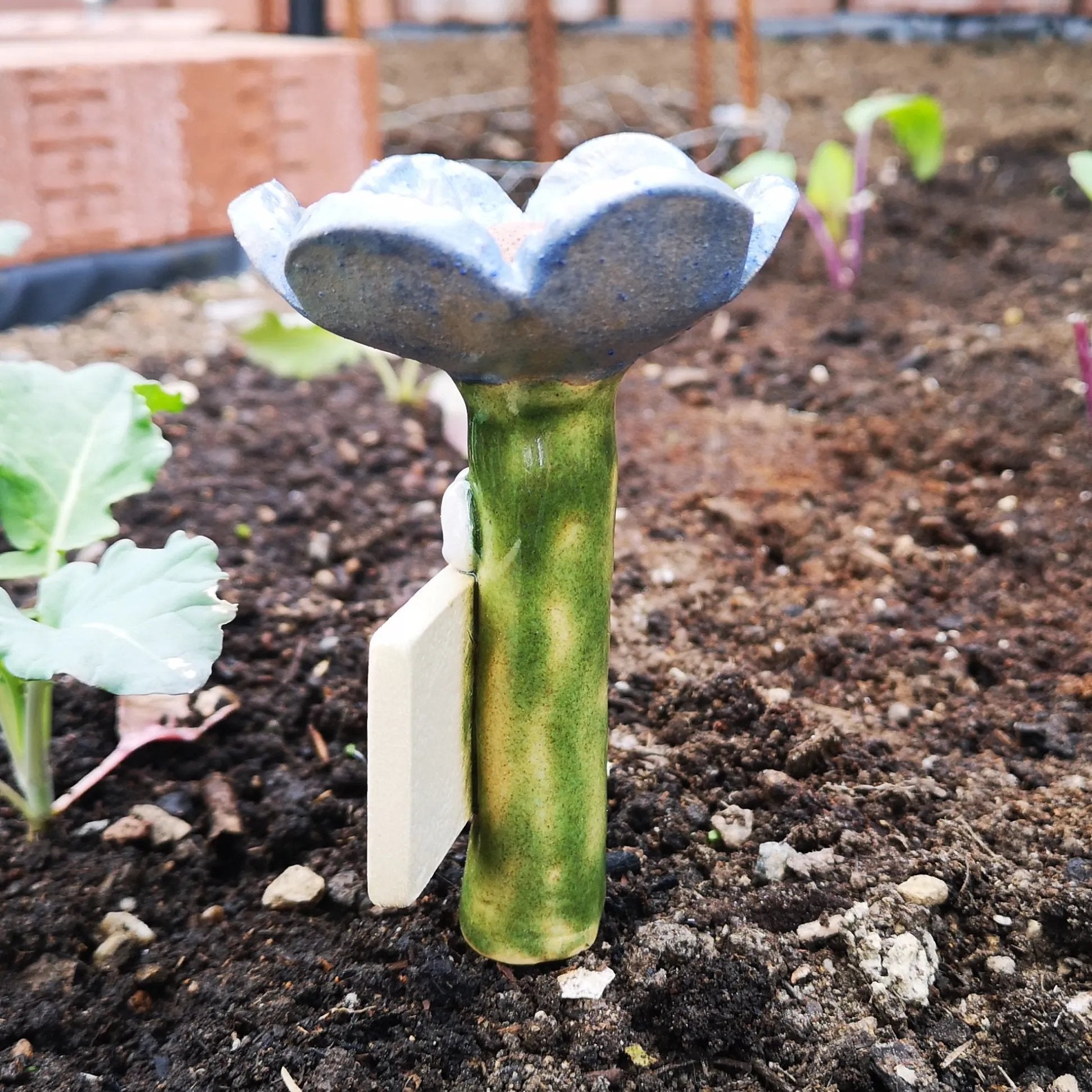 BuzzHaven – Eco Waterer for Garden Insects