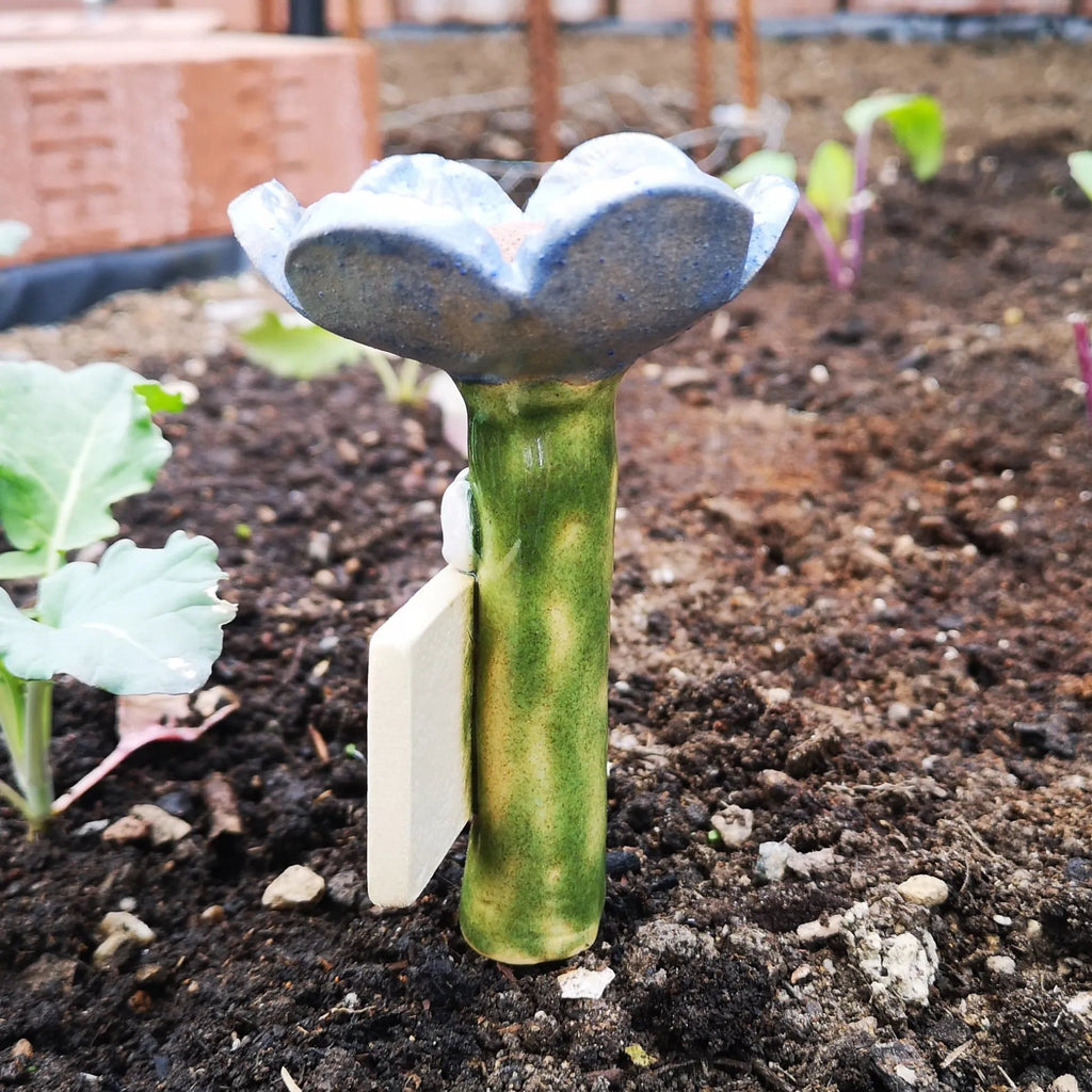 BuzzHaven – Eco Waterer for Garden Insects