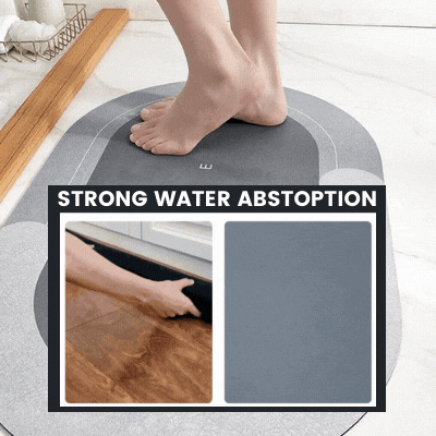 DryLux - Elegant Water-Absorbing Mat