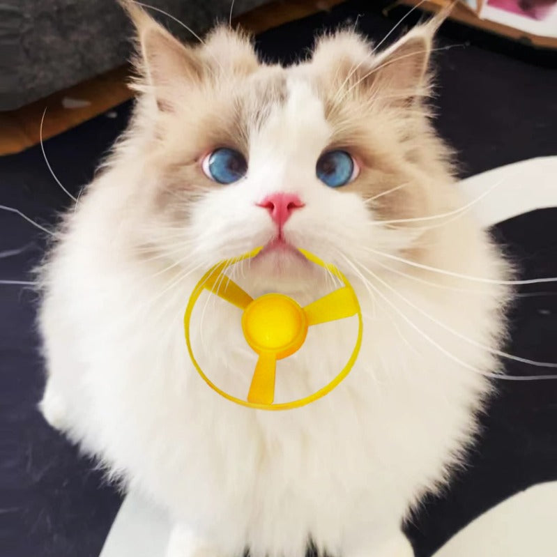 PawGlide – Light Up Cat Disc Launcher Set