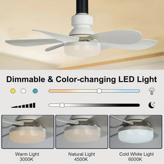 SmartBreez PRO | 2-in-1 Ceiling Fan & LED Light