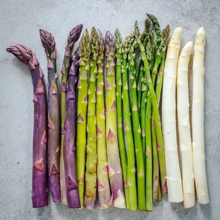 GardenPro – Perennial Tender Asparagus Seeds