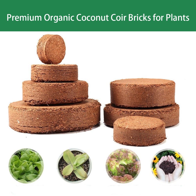 CocoBloom – Organic Coconut Coir Bricks for Healthy Plant Growth