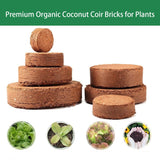CocoBloom – Organic Coconut Coir Bricks for Healthy Plant Growth