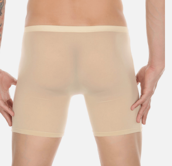 AeroFit – Lightweight Ice Silk Men’s Sports Briefs