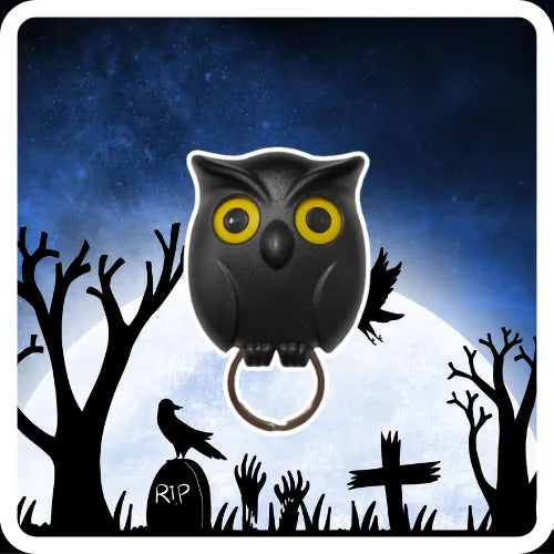 HootNest | The Spooky Owl Key Holder