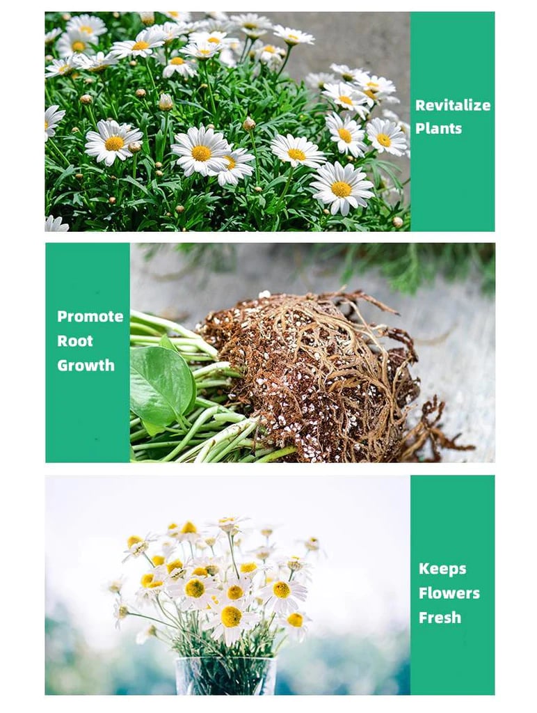 GrowBoost – Advanced Plant Growth Enhancer