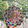 Colored chrysanthemum