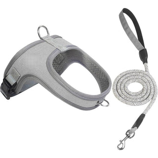 PawEase – Breathable Dog Harness Set