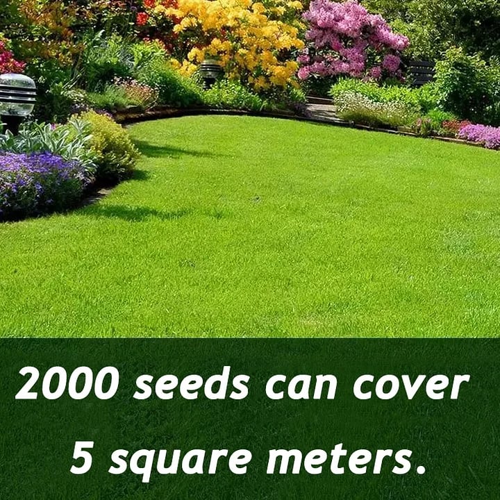 EverLush - All Season Dwarf Grass Seed