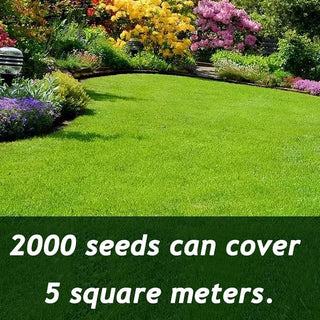EverLush - All Season Dwarf Grass Seed