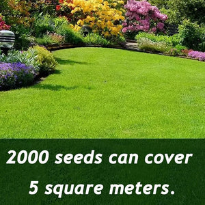 EverLush - All Season Dwarf Grass Seed