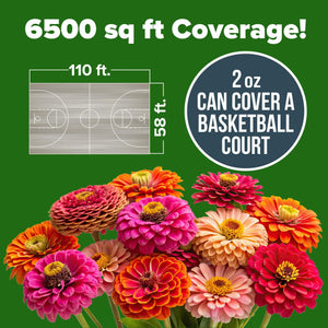 FloraBloom – Long Blooming Garden Flower Seeds